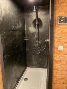 a bathroom with a shower with a shower at Les gîtes de la fabrique in Roscanvel +20 photos
