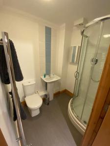 a bathroom with a toilet and a sink at 1 bedroom apartment in Norwich city centre APT 8A in Norwich