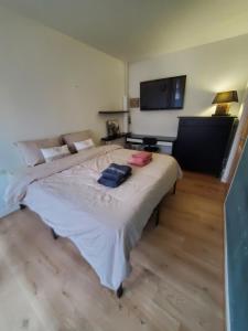 a bedroom with a large bed and a flat screen tv at Apartment 2 or 3 bedrooms near Paris in Suresnes