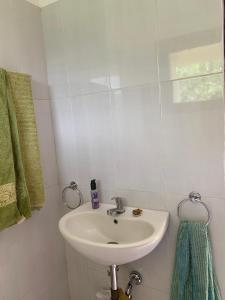 baño con lavabo y toalla verde en Mona‘s Tiny Djungle House, en Gitgit