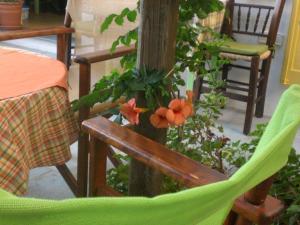Posezení v ubytování Hotel Boulis