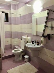 een badkamer met een toilet en een wastafel bij Apartamente 9 - Naomi in Baile Felix