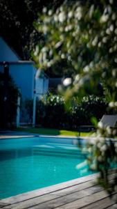 a close up of a swimming pool with blue water at Chez Muriel ou Chez Pierre in Porto-Vecchio