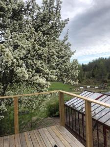 une terrasse avec un arbre et des fleurs blanches. dans l'établissement Ingebo Hagar bondgårdsboende, à Vimmerby