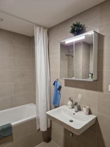 a bathroom with a sink and a bath tub at Vltava apartments in Prague