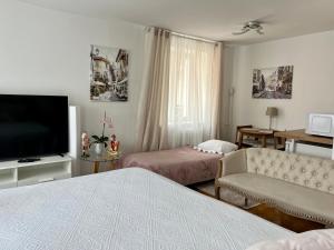 Telewizja i/lub zestaw kina domowego w obiekcie Louis & Elza Old Town Romantic apartments