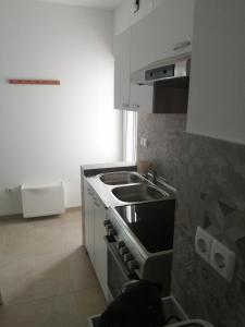 Kuchyň nebo kuchyňský kout v ubytování Apartment