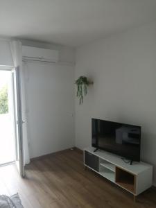 TV a/nebo společenská místnost v ubytování Apartment