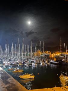 Un montón de barcos atracados en un puerto deportivo por la noche en Apartment Parčina, en Trogir