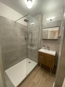 La salle de bains est pourvue d'une douche et d'un lavabo. dans l'établissement Cosy F2 Royat Thermes, à Royat