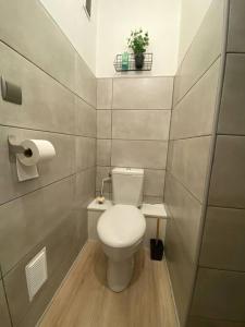 une petite salle de bains avec des toilettes et une plante dans l'établissement Cosy F2 Royat Thermes, à Royat
