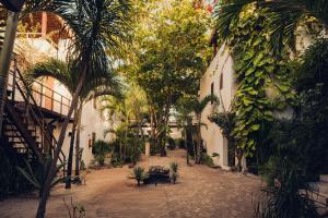 Zahrada ubytování Chiringuito Tulum