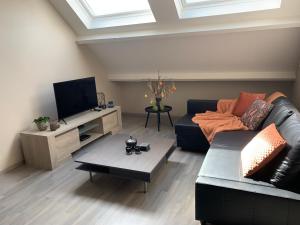 TV a/nebo společenská místnost v ubytování De Kempische Akker