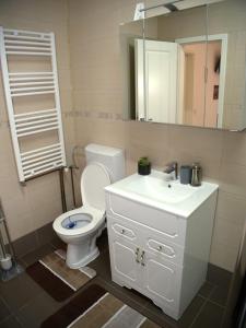 un bagno con un water, un lavandino e uno specchio di Casa Todor a Sibiu Altre 30 foto