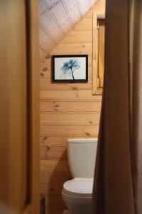 een badkamer met een toilet en een foto aan de muur bij Lazdkalni in Ķimale