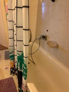 y baño con bañera y cortina de ducha. en Cargo Rooms and Apartment, en Budapest