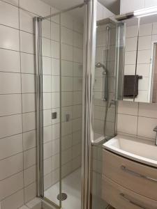a bathroom with a shower and a sink at Geschäfts- und Ferienwohnung 111 in Bad Urach