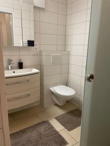 a bathroom with a toilet and a sink and a mirror at Geschäfts- und Ferienwohnung 111 in Bad Urach