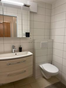 a bathroom with a toilet and a sink and a mirror at Geschäfts- und Ferienwohnung 111 in Bad Urach