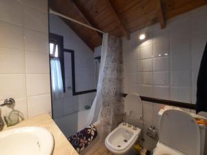 ein Bad mit einem Waschbecken, einem WC und einer Dusche in der Unterkunft Horizonte Fueguino II in Ushuaia