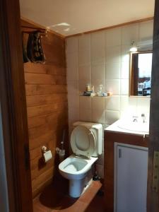a small bathroom with a toilet and a sink at Horizonte Fueguino II in Ushuaia
