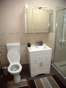 シビウにあるPensiunea Todorのバスルーム(トイレ、洗面台、シャワー付)