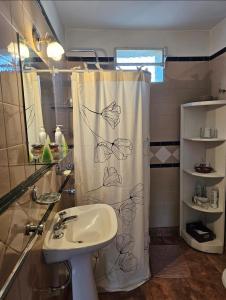 łazienka z zasłoną prysznicową i umywalką w obiekcie Departamento Nieves w mieście Esquel