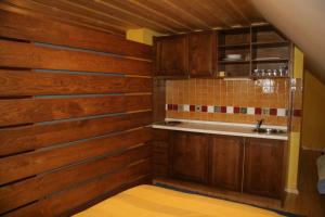 cocina con paredes de madera y fregadero en Apartmaji Žolnir, en Kostanjevica na Krki