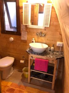 a bathroom with a sink and a toilet at Igloo Mobil Home in Soiano del Lago
