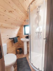 a bathroom with a shower and a toilet and a sink at Haven Pod Easkey in Sligo