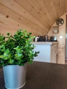 Köök või kööginurk majutusasutuses Haven Pod Easkey