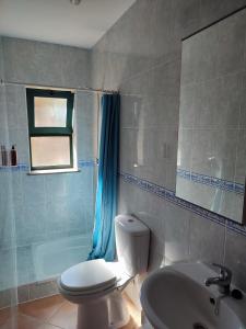 uma casa de banho com um WC e um lavatório em Casa Sulo Alombada em Águeda