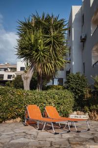2 sedie a sdraio arancioni sedute accanto a una palma di Alexis Apartments - Modern 2-bedroom with swimming pool a Paphos