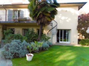 una casa con una palmera en el patio en Villa Olivia, en Bérgamo