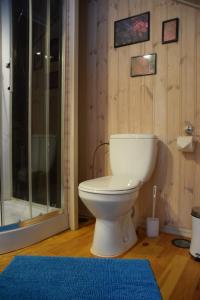 a bathroom with a white toilet and a blue rug at Čučumuiža in Ķimale +57 photos