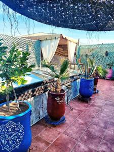 un grupo de plantas en macetas sentadas en un patio en Riad 1001 couleurs en Marrakech