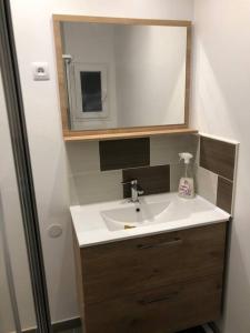 a bathroom with a sink and a mirror at Appartement indépendant in Le Blanc-Mesnil