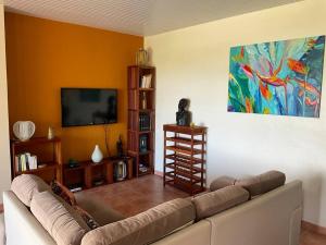 a living room with a couch and a flat screen tv at BAS DE VILLA PISCINE PETIT VERSAILLES SAINTE ANNE in Sainte-Anne