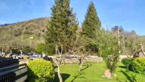 un jardín con árboles y una montaña en el fondo en Apartamentos Florinda, en Ucieda de Abajo