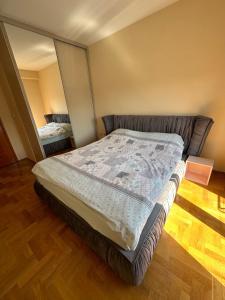 a bedroom with a large bed with a mirror at Great location two bedroom apatment ''MAXIM'' in Podgorica