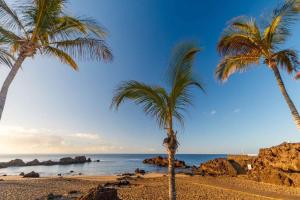 two palm trees on a beach with the ocean at Casa Playa Chica Lanzarote in Puerto del Carmen