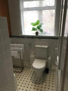 a bathroom with a toilet and a window and a plant at Dream Nest in Southend-on-Sea