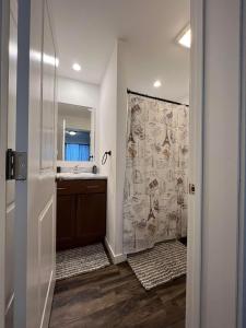 a bathroom with a shower curtain and a sink at Littleton Vacation Home in Littleton