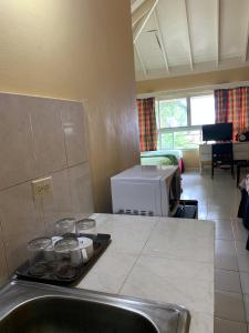 uma cozinha com um lavatório e um balcão com pratos em Family Comfort in Jamaica - Enjoy 7 miles of White Sand Beach! villa em Negril