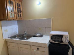 ネグリルにあるFamily Comfort in Jamaica - Enjoy 7 miles of White Sand Beach! villaのキッチン(シンク、電子レンジ付)