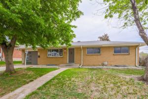 a yellow house with a tree in the yard at NEW Modern Home w/ Beautiful Finishes! in Denver