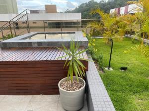 a plant in a pot sitting on a deck at Unity - Cabo Branco by Jess in João Pessoa