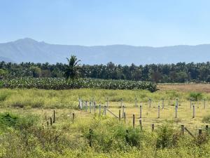 un campo con una fila de postes en la hierba en Raja Residency, en Alāndurai
