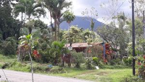 une maison arborée sur le côté d'une route dans l'établissement Casa Rural Aralia, à Fortuna