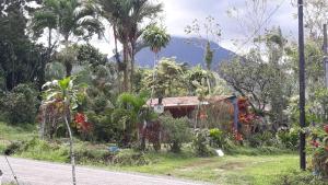 una casa al lado de una carretera con árboles en Casa Rural Aralia, en Fortuna